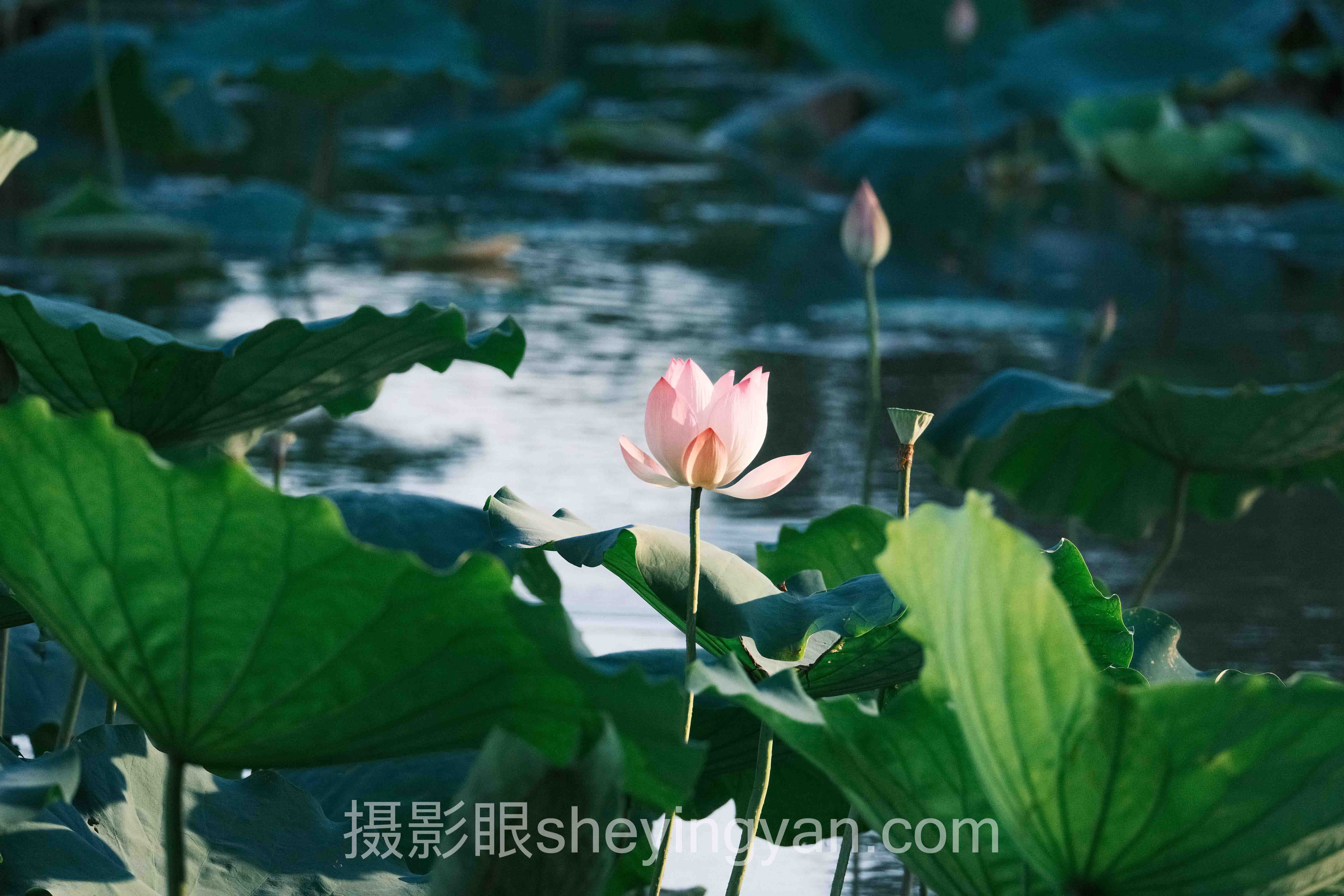 摄影眼测试方法深度评测:5种选择全面解析