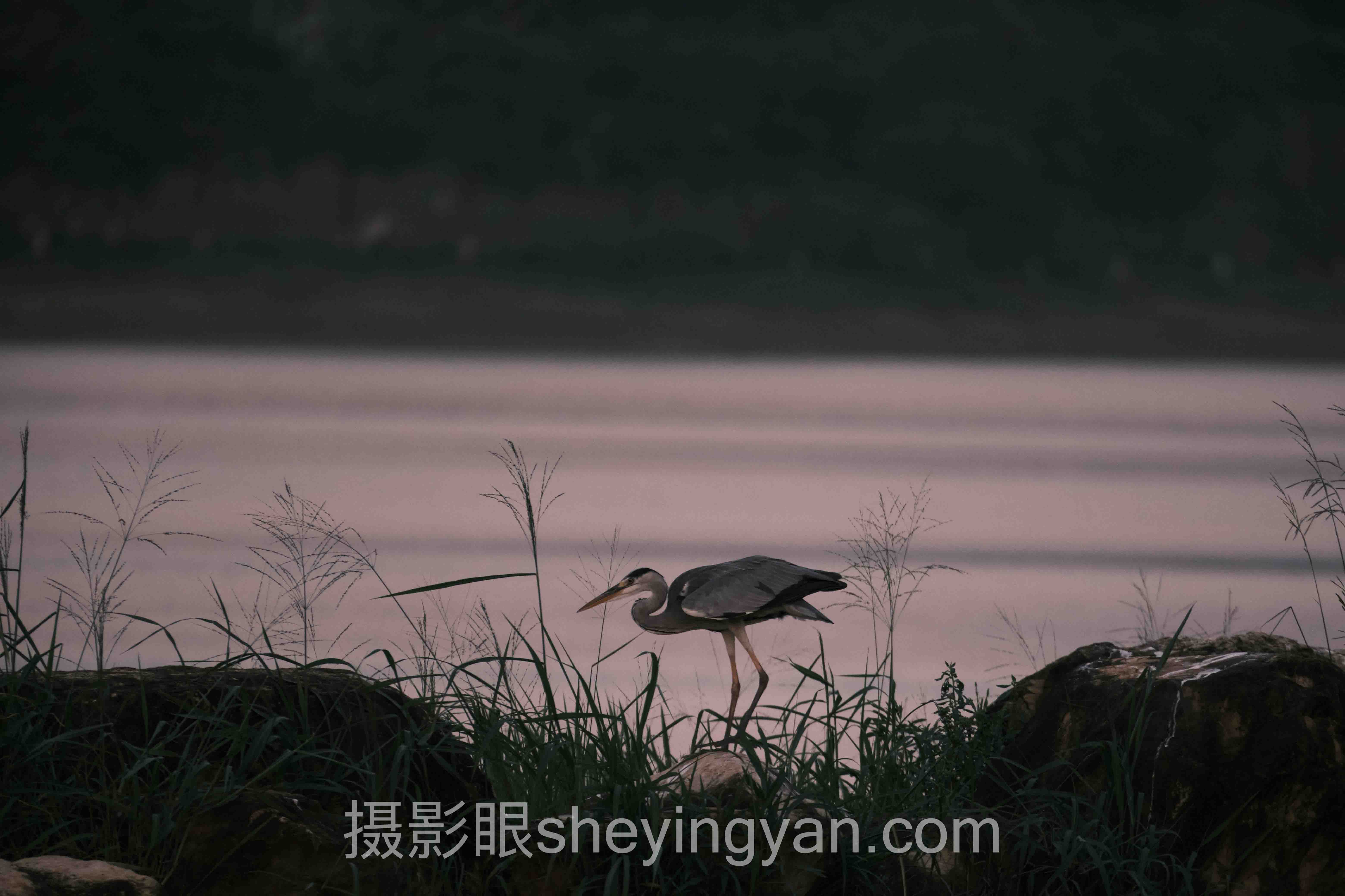 摄影眼平台解除合约避坑指南：7个关键要点全梳理
