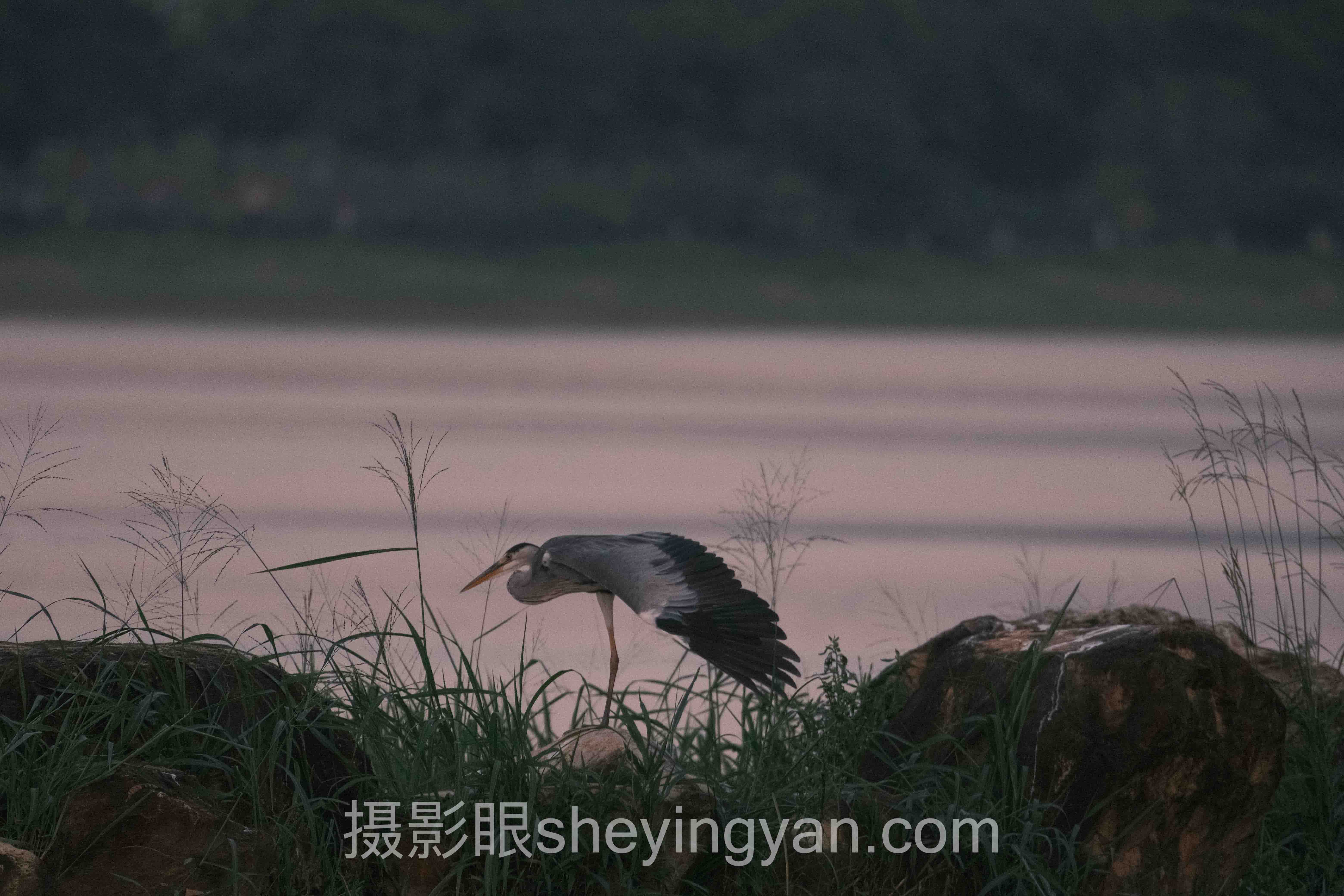 摄影眼sheyingyan.com免费资源