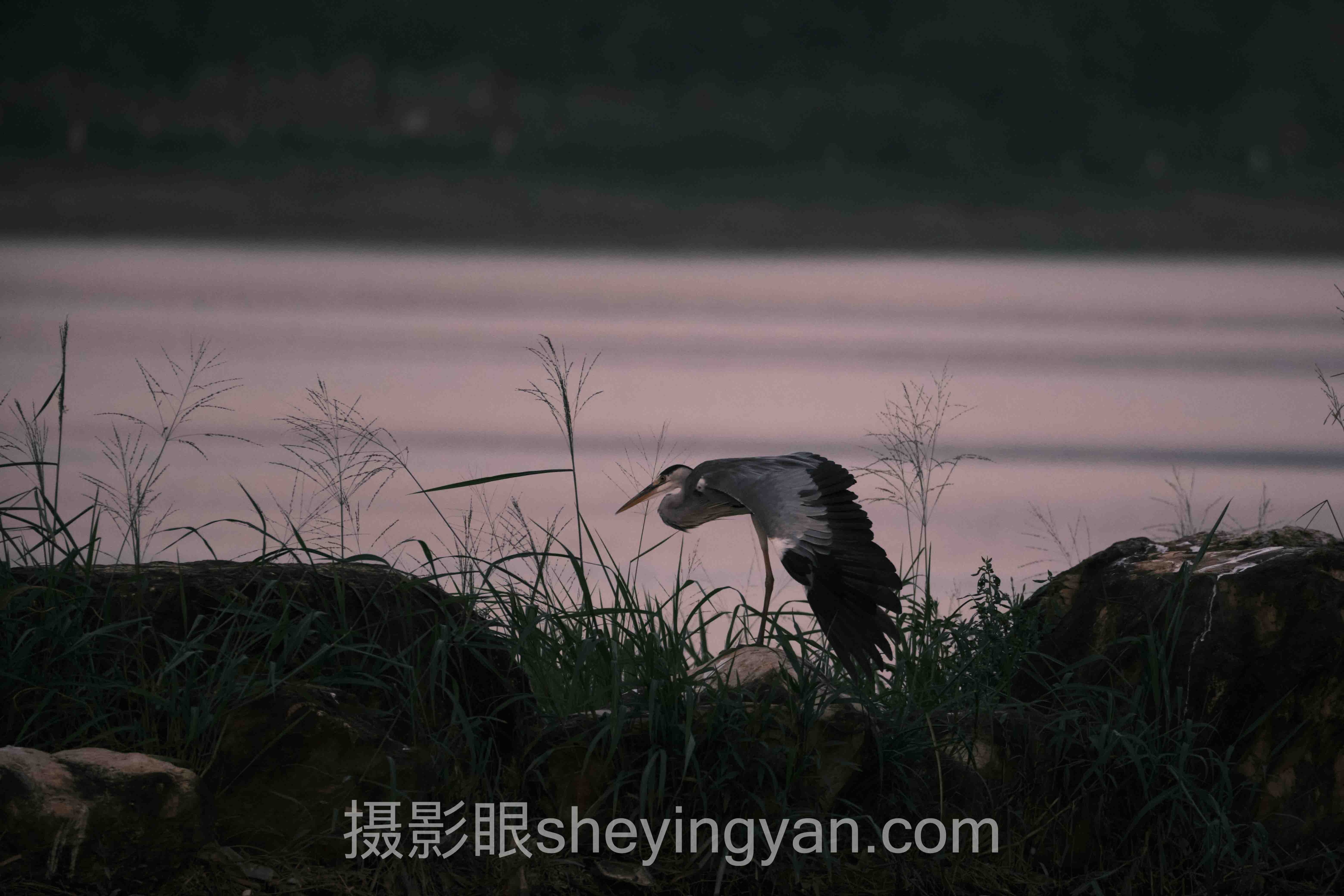 数据说话：专业摄影点评网站的最新发展现状
