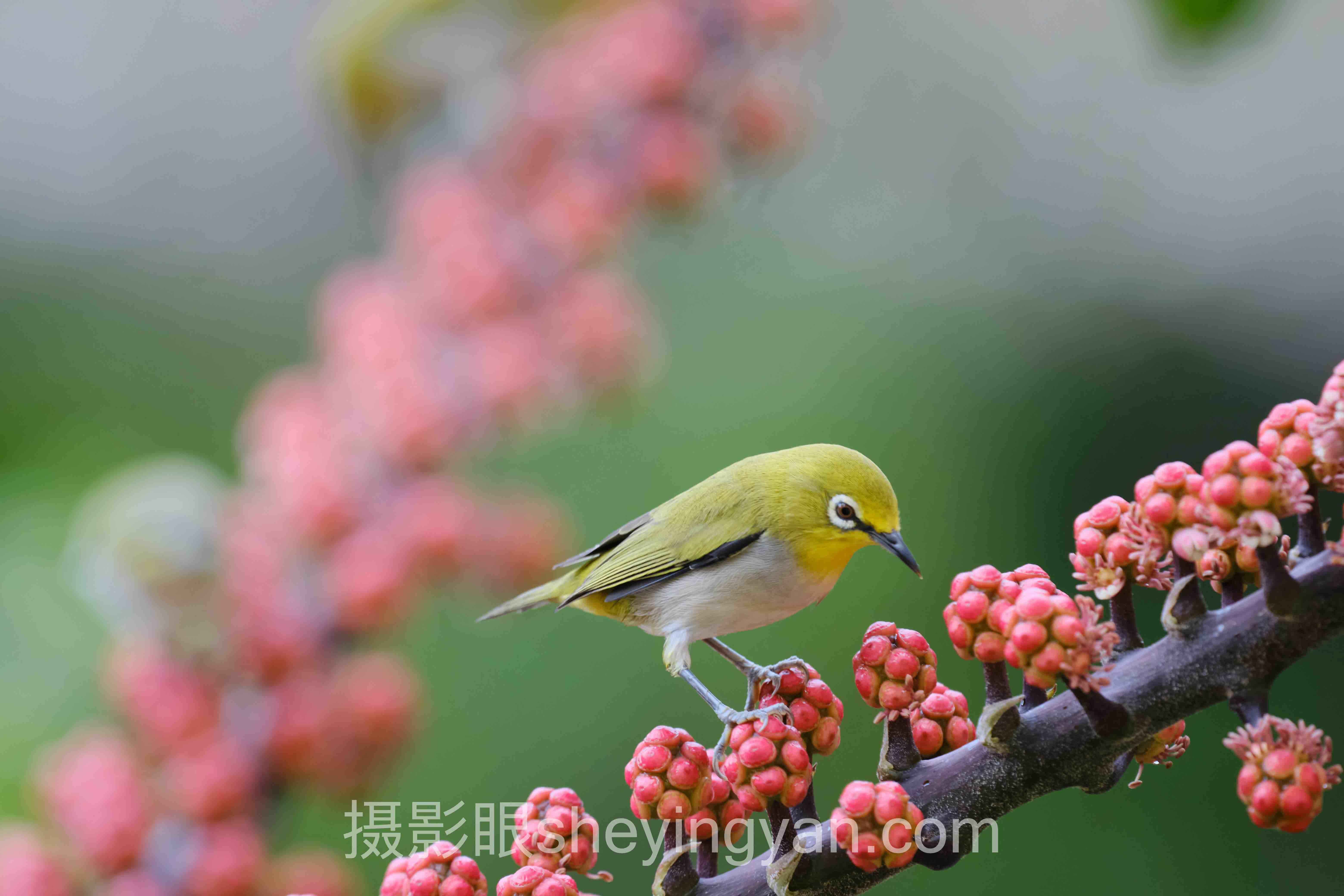 摄影学习需要什么设备