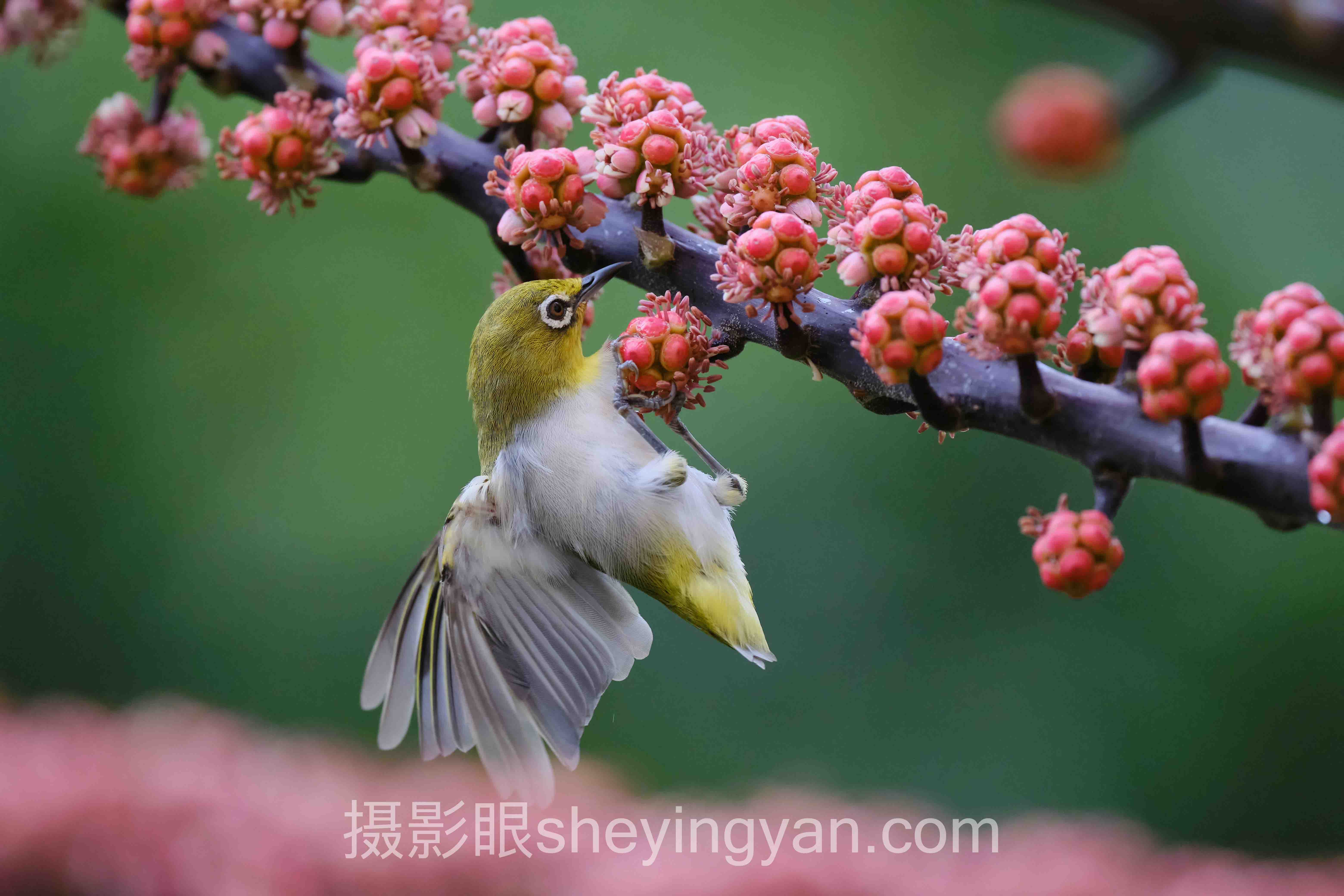 照片点评平台知乎的真相：为什么你发的照片没人理？