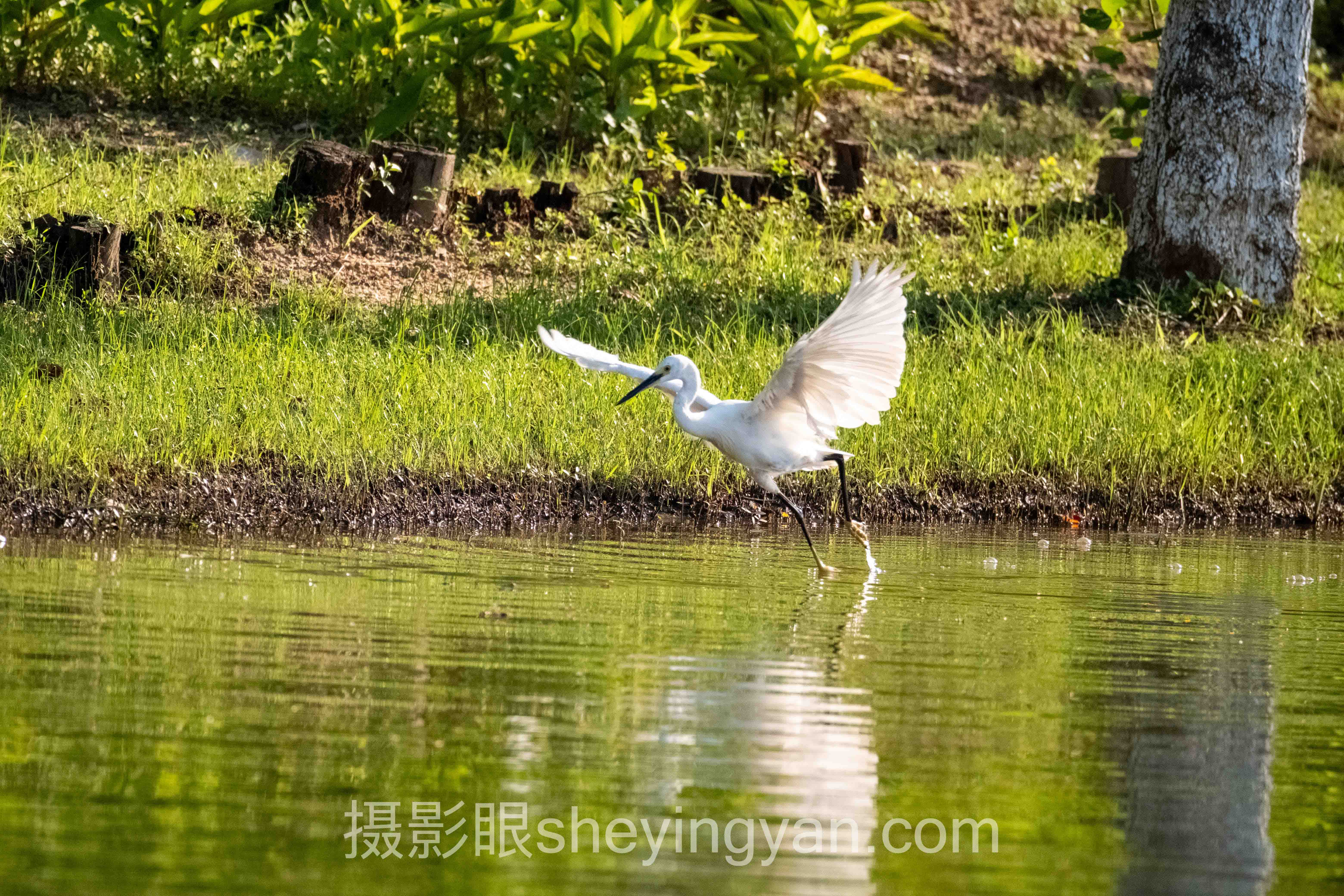 摄影审美网站行业数据全景：7组数据揭示真相