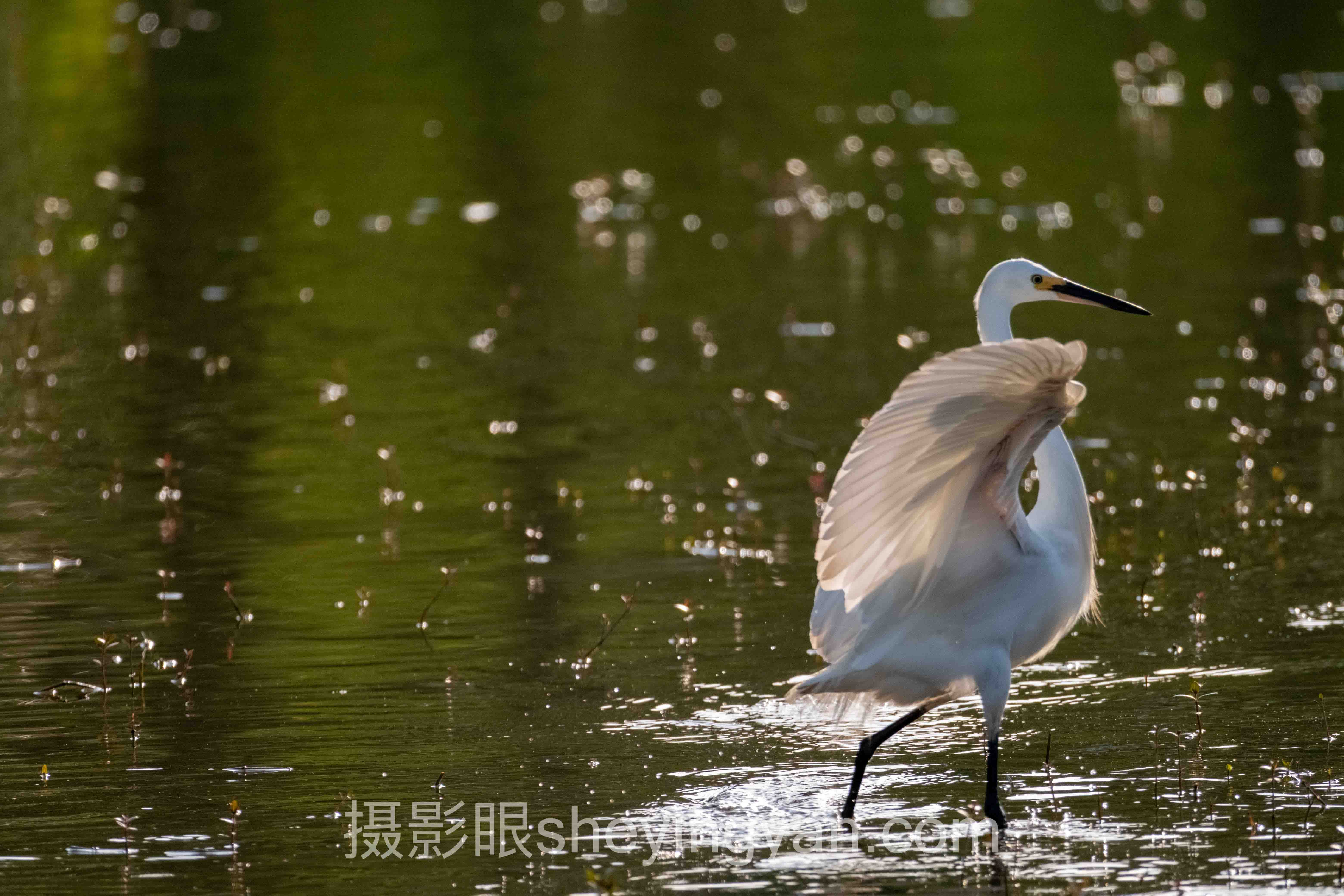 对话行业专家：摄影审美快速提升的关键洞察与前瞻